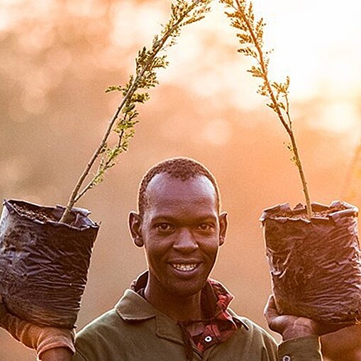 香緹卡2022世界地球日活動與世界保育組織ONE TREE PLANTED合作，由香緹卡以消費者名義在亞馬遜森林或印度洋沿岸種下一顆小小樹苗。