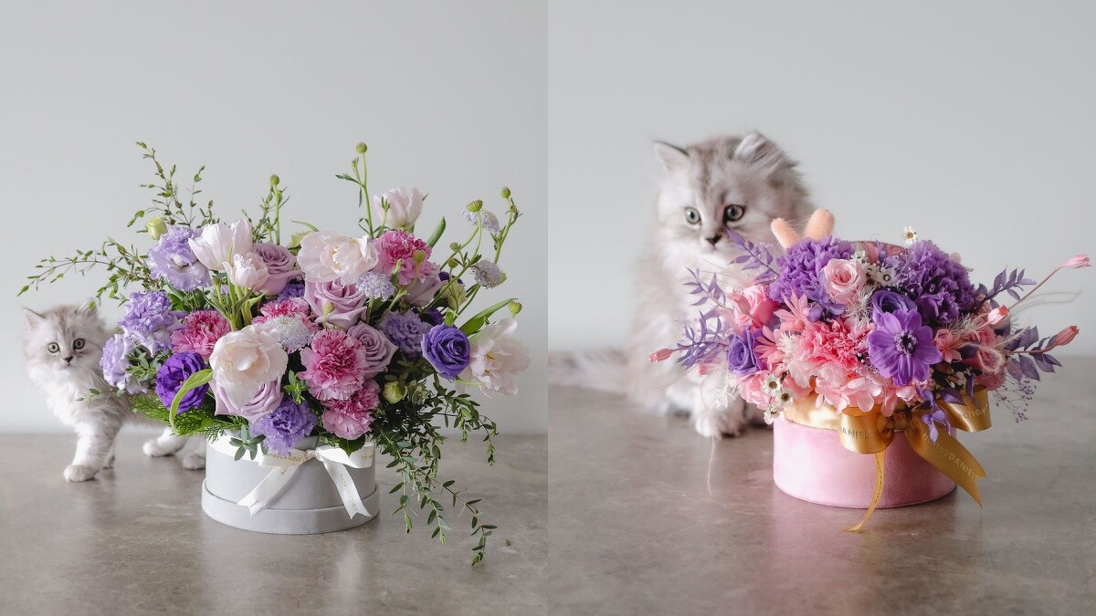 「慕目 Admiring」