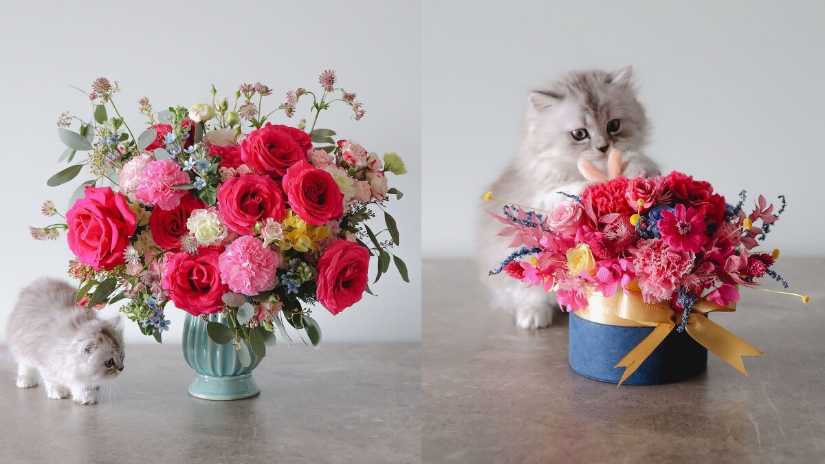 「嘉娣思 Goddess」