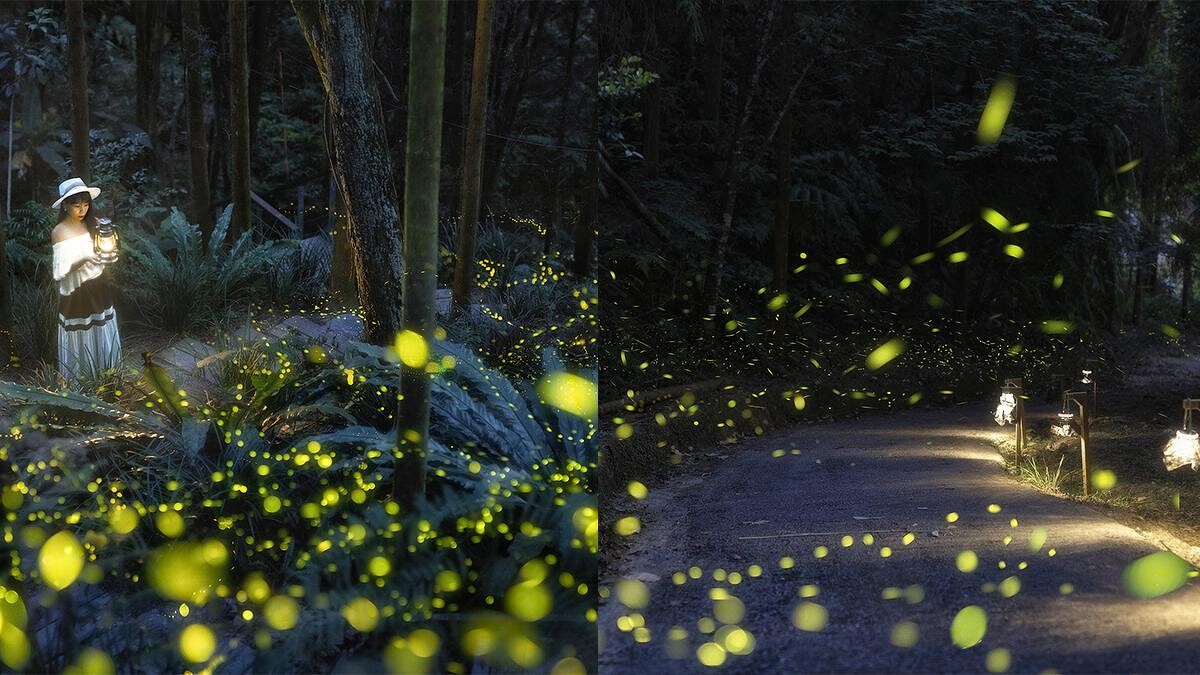 Photo／IG@ 153_mom 提供