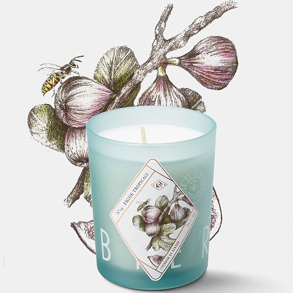 kerzon植物標本系列香氛蠟燭(熱帶無花果FIGUE TROPICAPLE)190g，NT1,600。