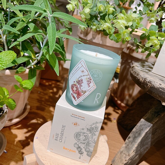 kerzon植物標本系列香氛蠟燭(秋旬漿果BAIE CHARNUE)190g，NT1,600。