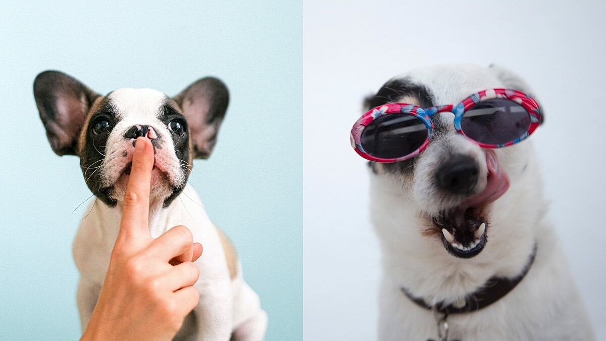 12星座最佳傾聽者排行榜!誰的口風超鬆?秘密剛說完,全世界都知道了