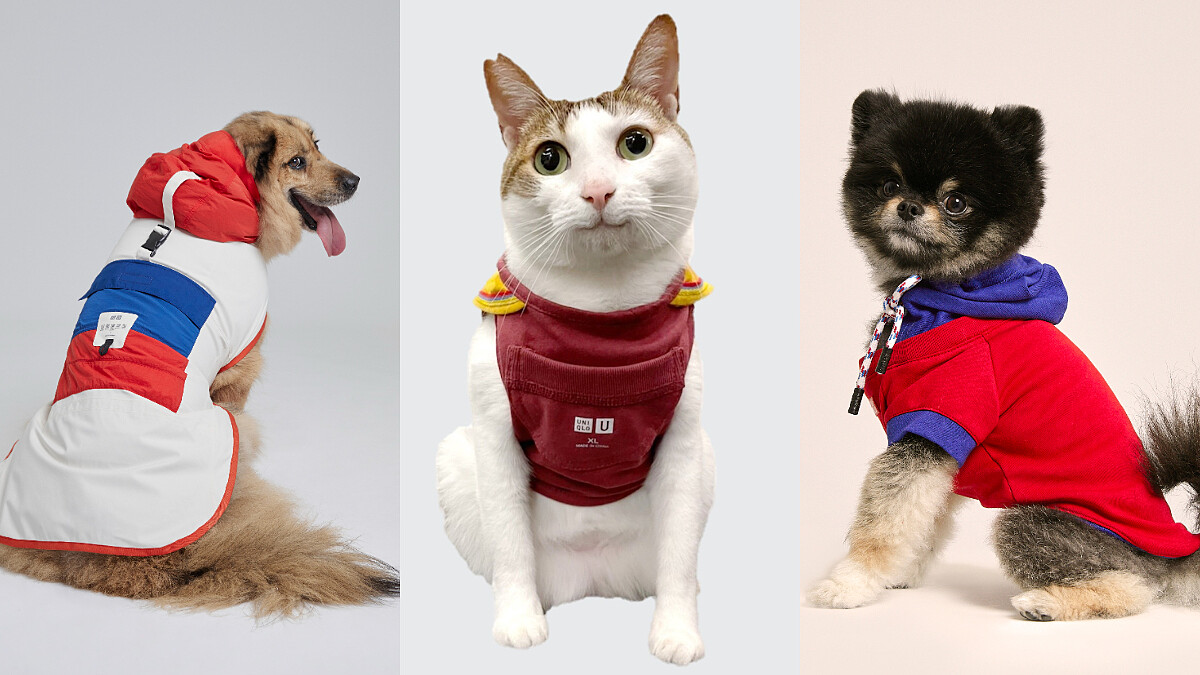 REHOW x UNIQLO x JUST IN XX 三方聯名計畫《舊衣新生工坊》發布，毛小孩服裝、風格家飾…打造永續重製風格