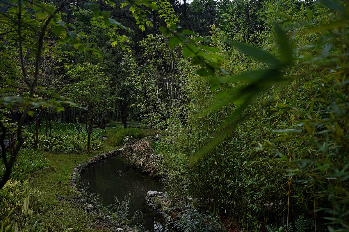 沐浴在樹林葉影下也能感受到大自然洗滌暑氣的魅力。