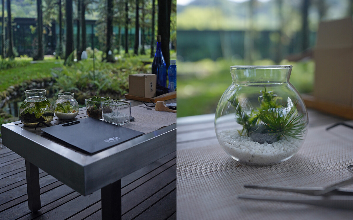 並在流水、蟲鳴、鳥叫的環繞之下製作屬於自己的生態瓶。