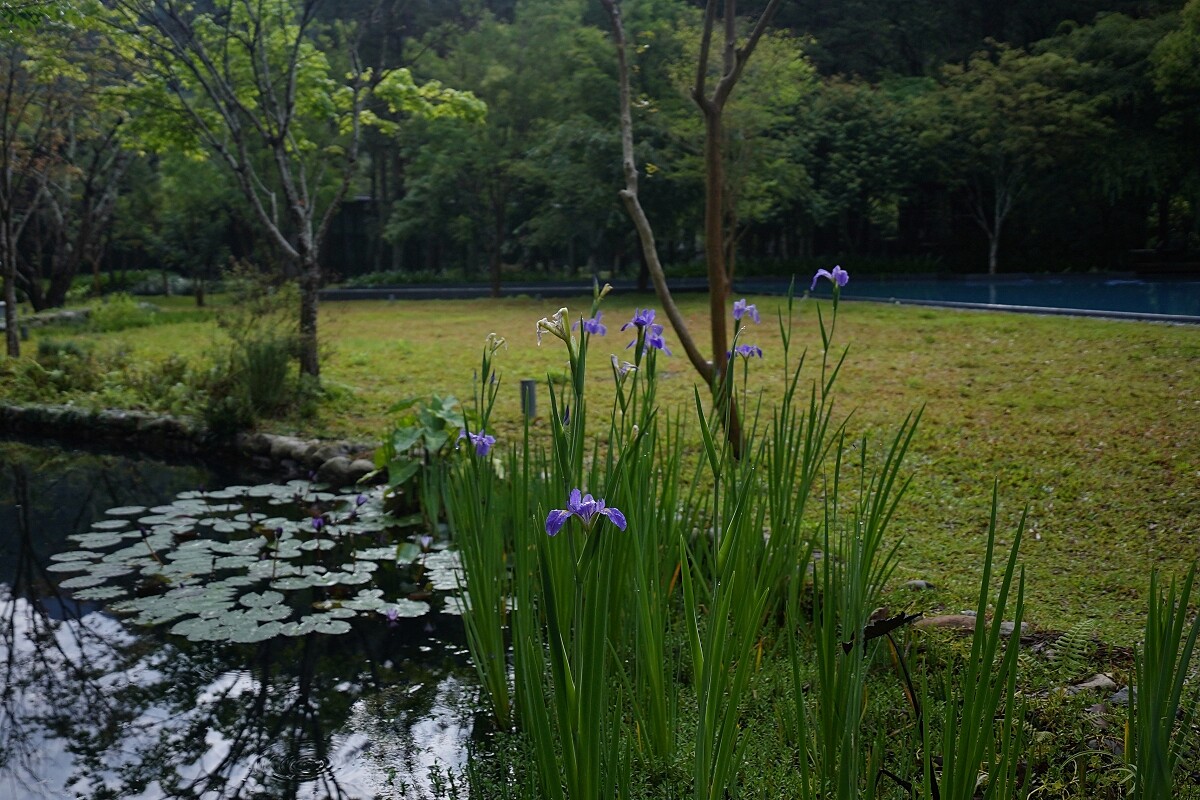 虹夕諾雅谷關園區內蘊藏豐富的景觀與植物。