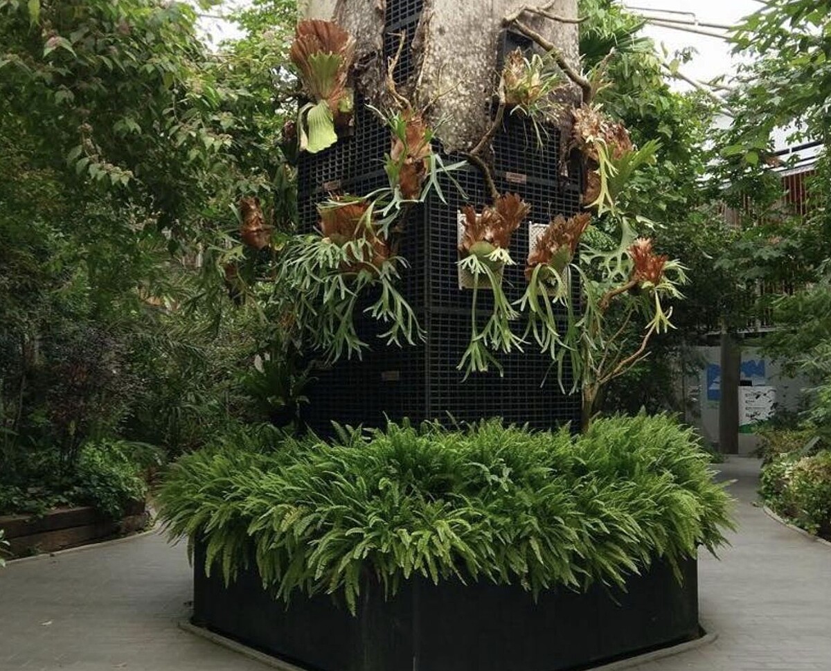 圖片來源／台北典藏植物園 官網