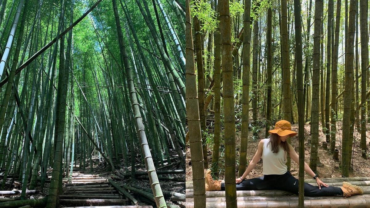 Photo/IG @ stacy_c_fit授權提供