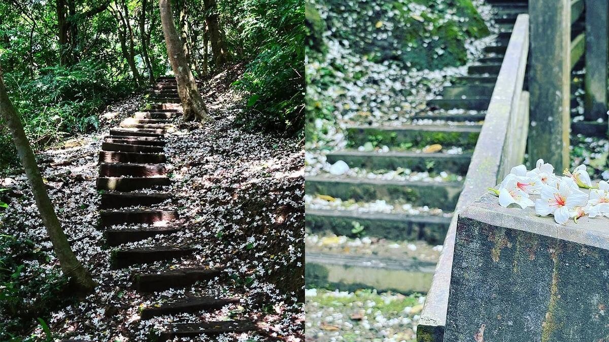 Photo／IG@vv530520510、IG@hankayak 授權提供