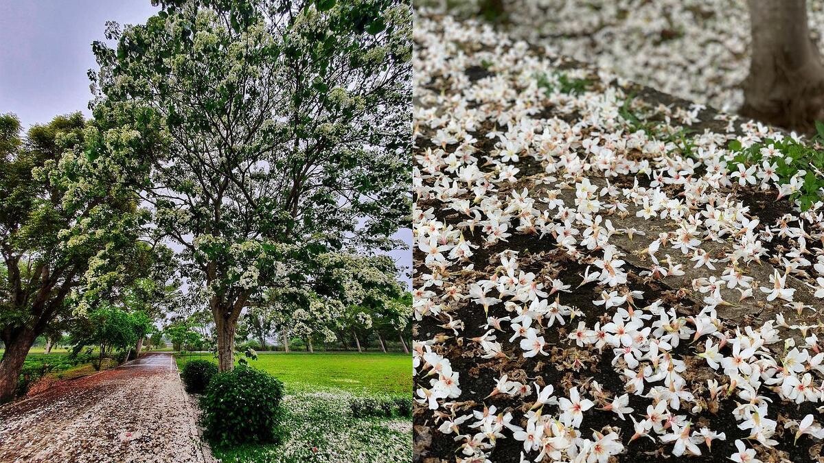 Photo／IG @ chang.chingfang 授權提供