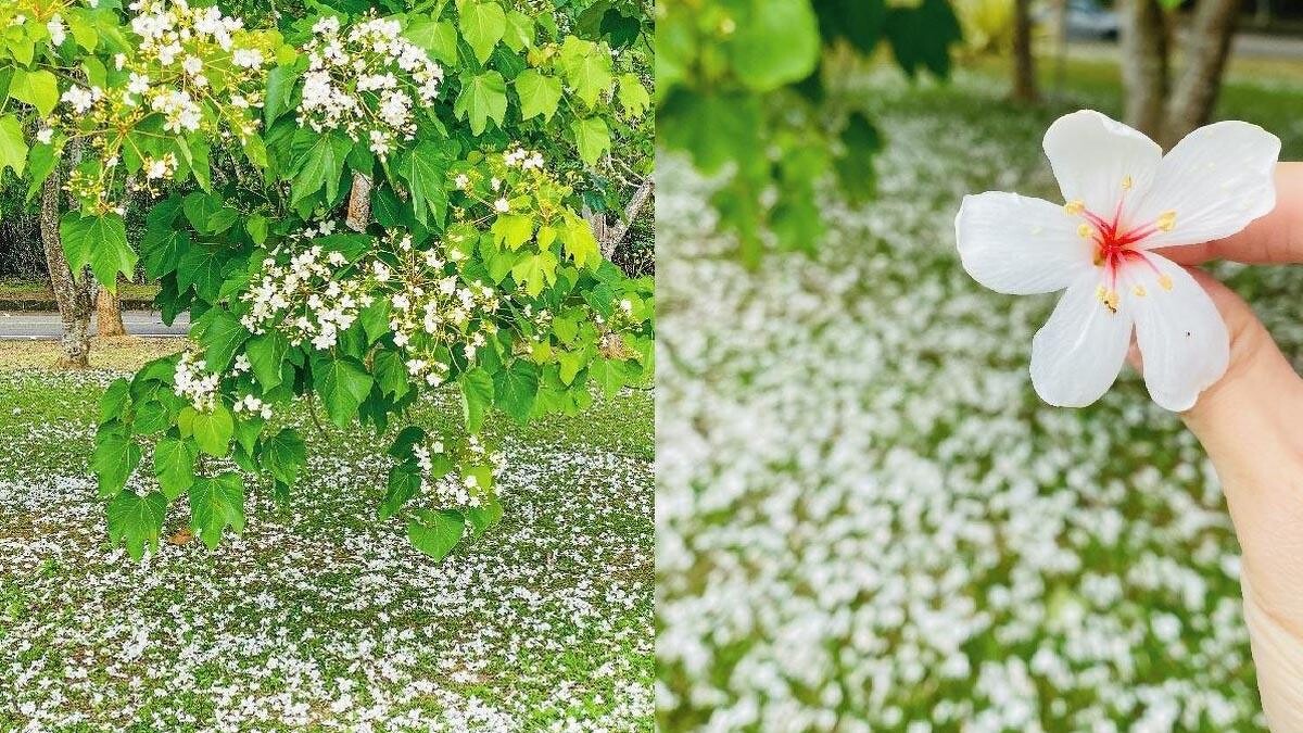 Photo／IG@暨大行旅Ncnu Campus Inn