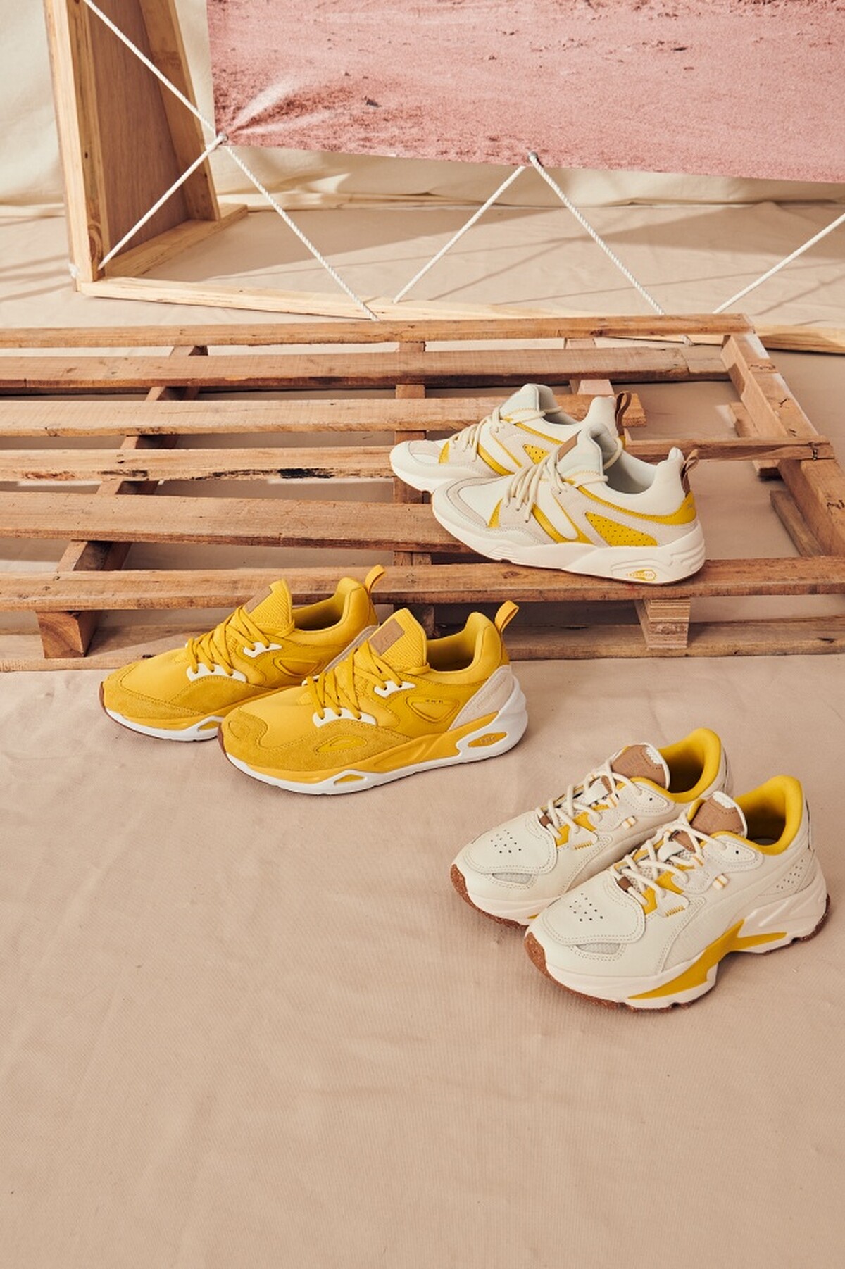 Blaze of Glory D.South NT 5,280、TRC Blaze D. South NT4,880、Orkid D.South Wns NT 3,880