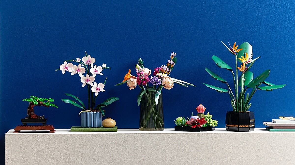 花藝系列目前有「10309多肉植物」、「10311蘭花」、「10289天堂鳥」、「10281盆栽」、「10280花束」等五款盒組