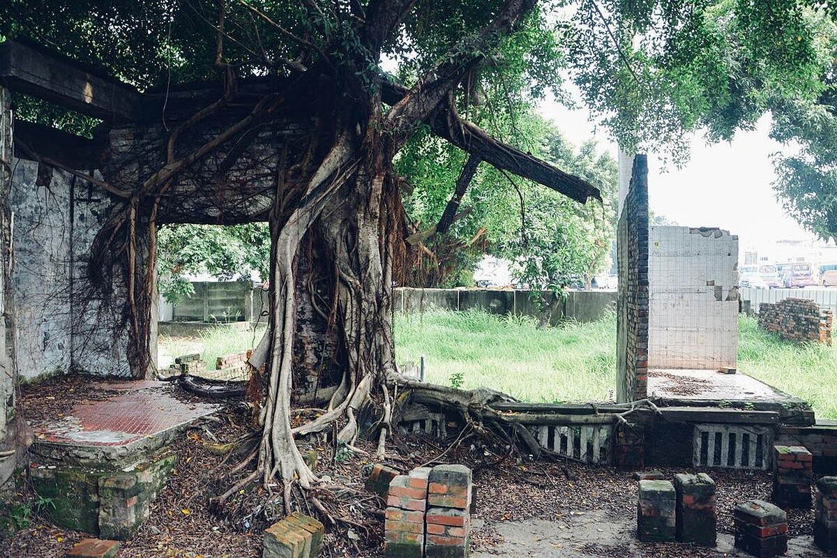 圖／IG@chiaohsieh27