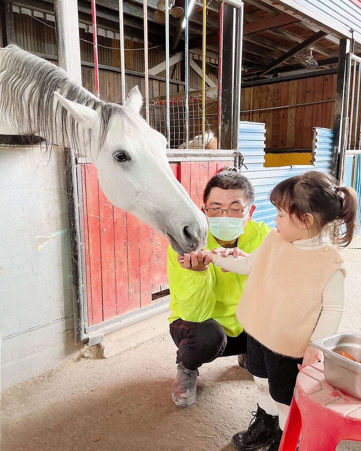 圖／IG@chiuqiuqiu_0730