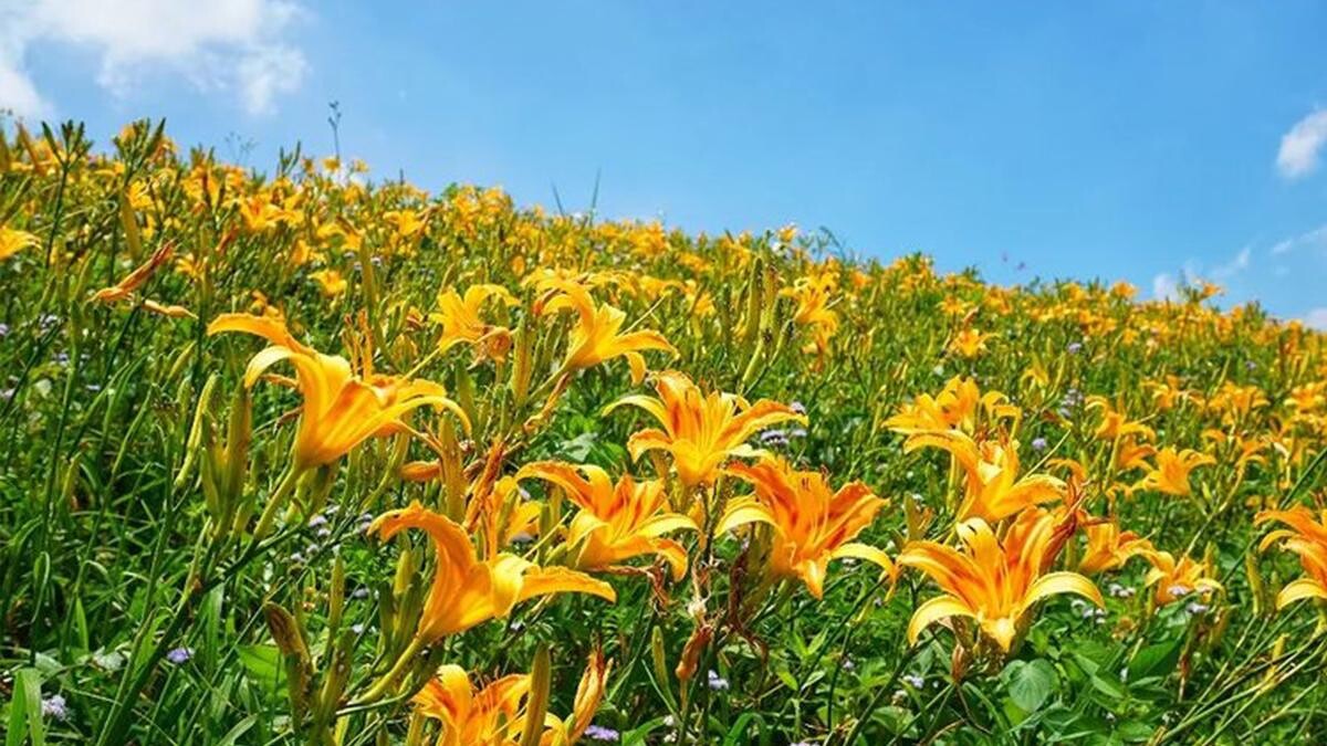 Photo／IG @ bruce570318 授權提供