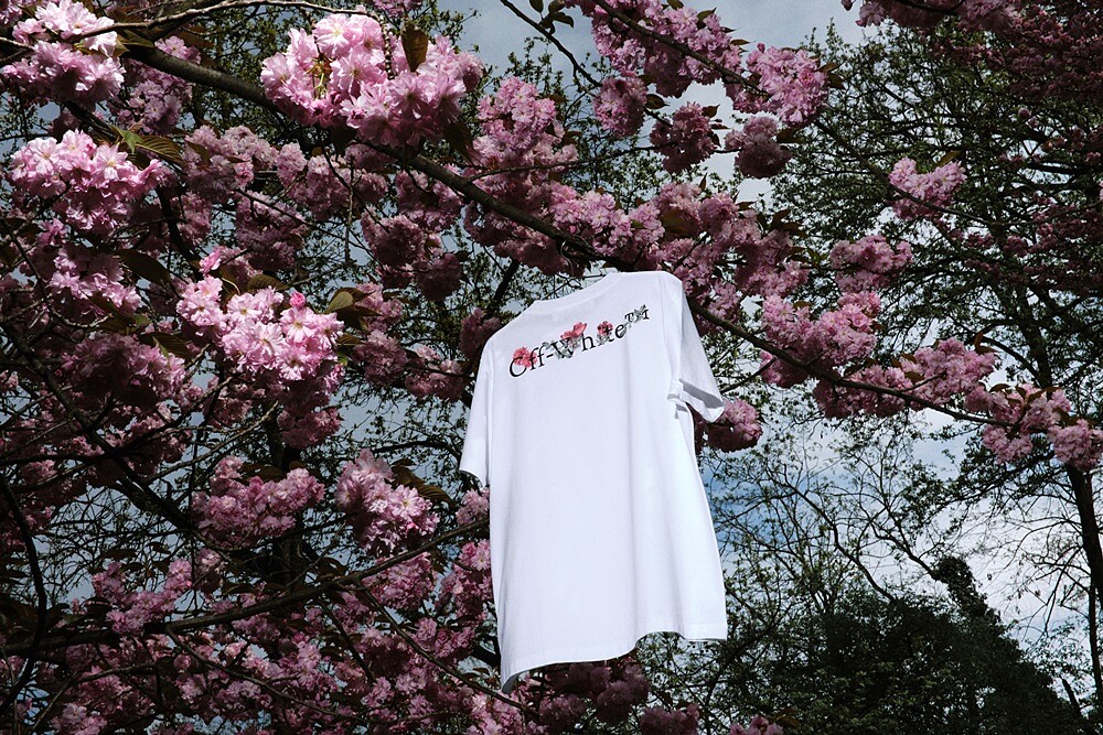 女士短袖T-Shirt，NT 10,500