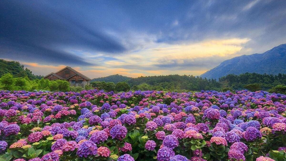 Photo／IG @eddy_kiwi1991 授權提供（圖為2021年拍攝）