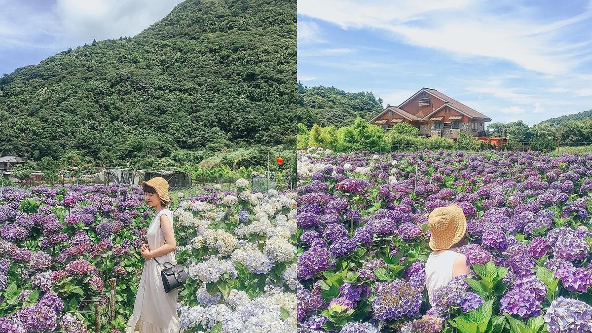 Photo／IG @ bonnieoo_travel 授權提供（圖為往年照片）