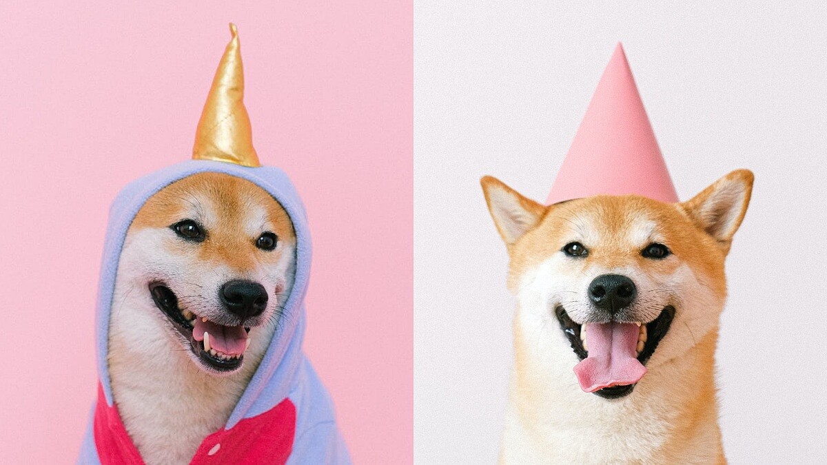 12星座正能量炸裂星座排行榜公開！第一名完全是陽光之子阿波羅的化身