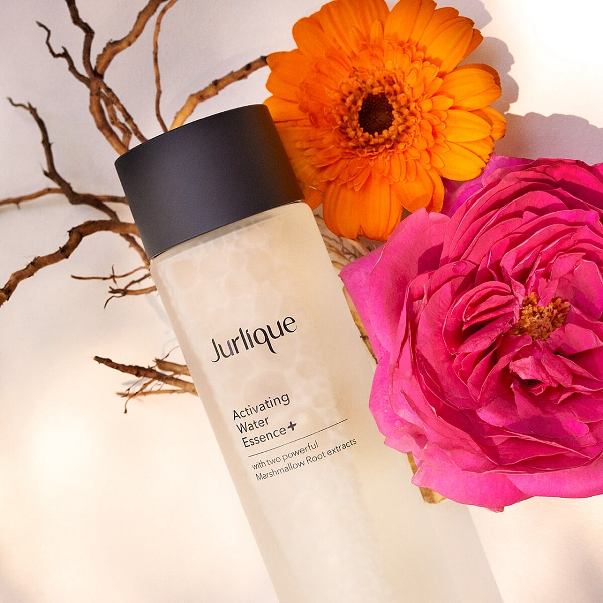 Jurlique茱莉蔻進化前導露+產品圖。