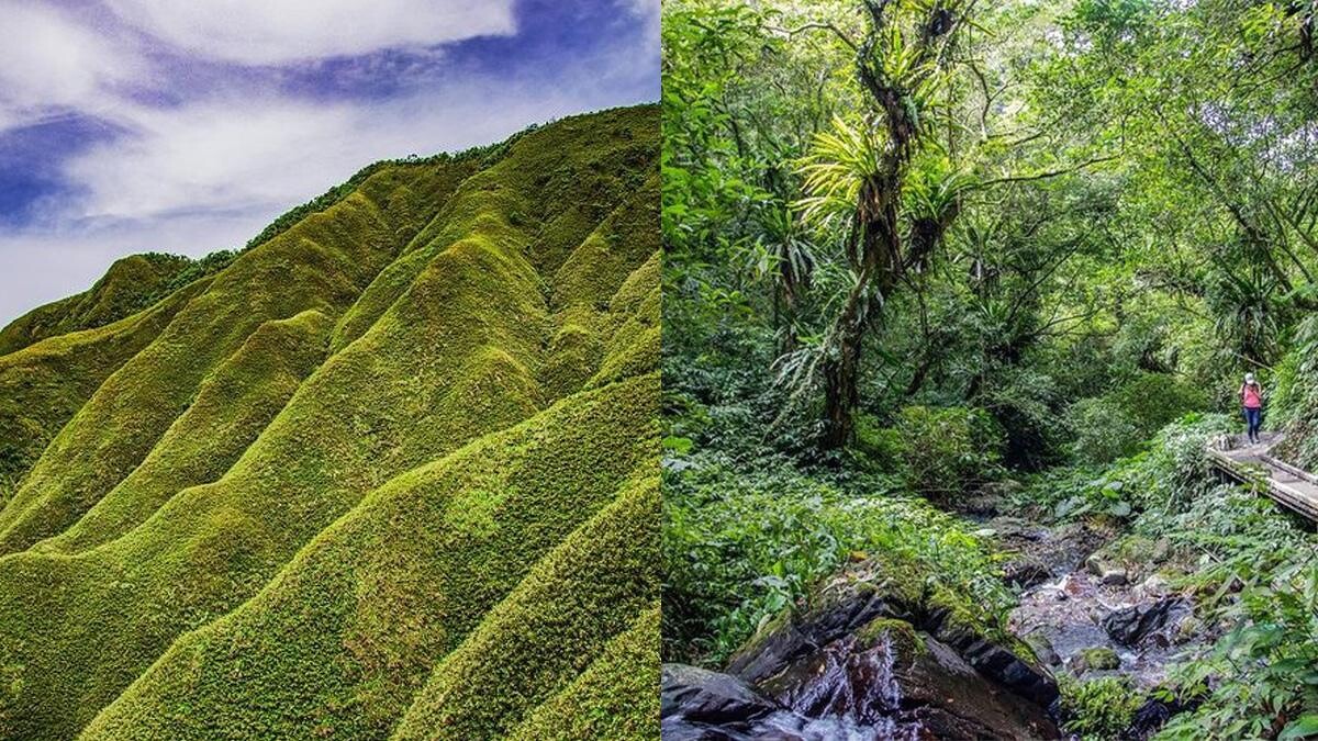 Photo／IG @celinejoy567授權提供