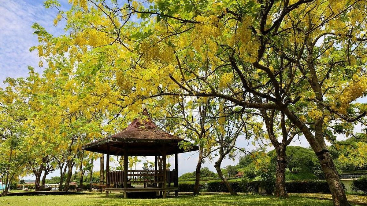 Photo/西拉雅國家風景管理處IG