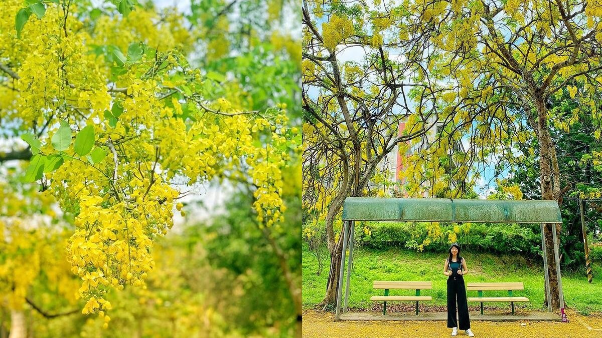 Photo/IG @ ling_yin 授權提供 (圖為2020年拍攝)