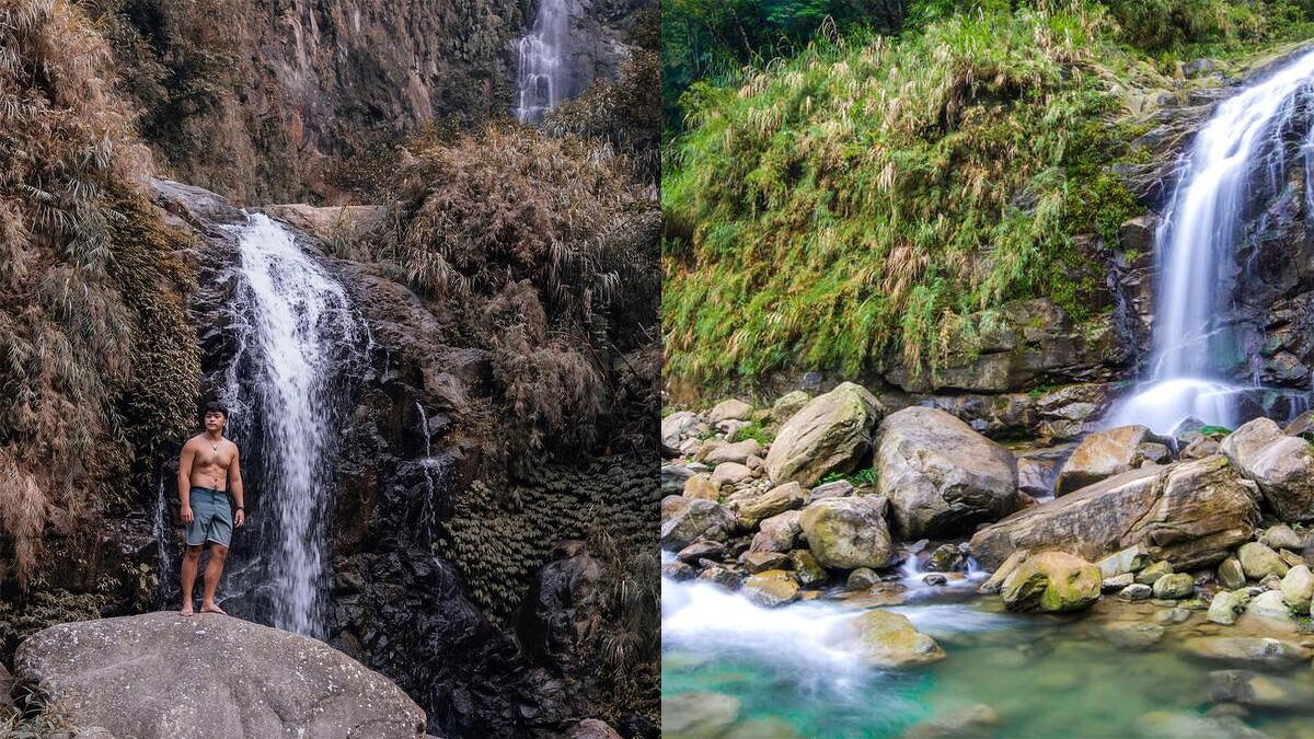 Photo/IG @ amismax 授權提供、阿里山國家風景區