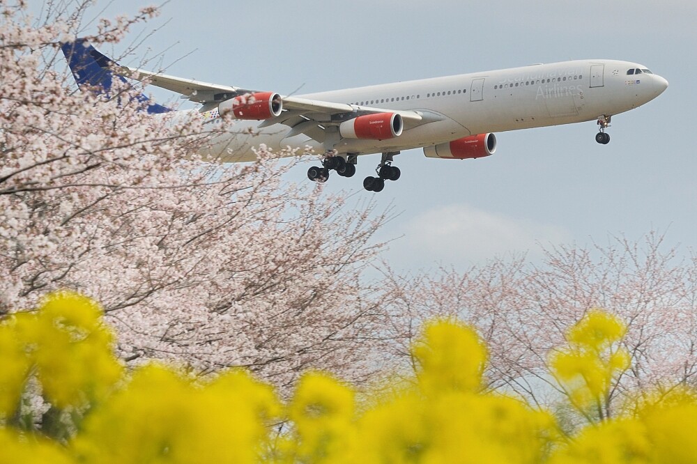 圖片來自フォト蔵miyappp。