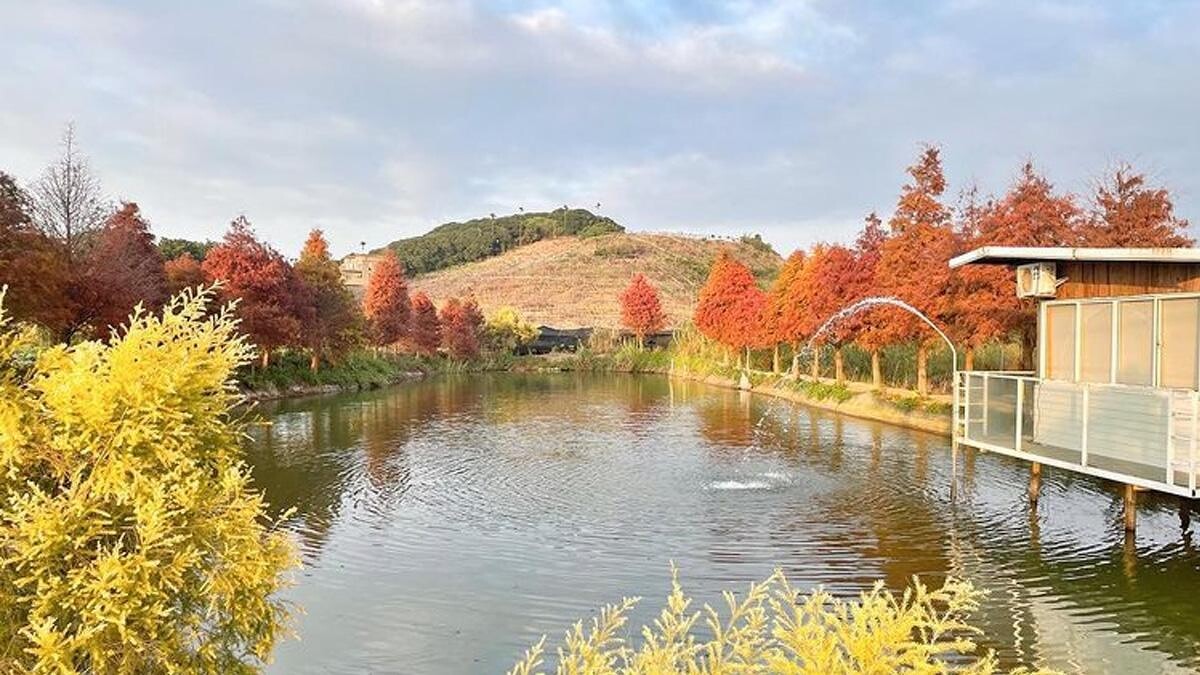 Photo/IG @chih6613 授權提供