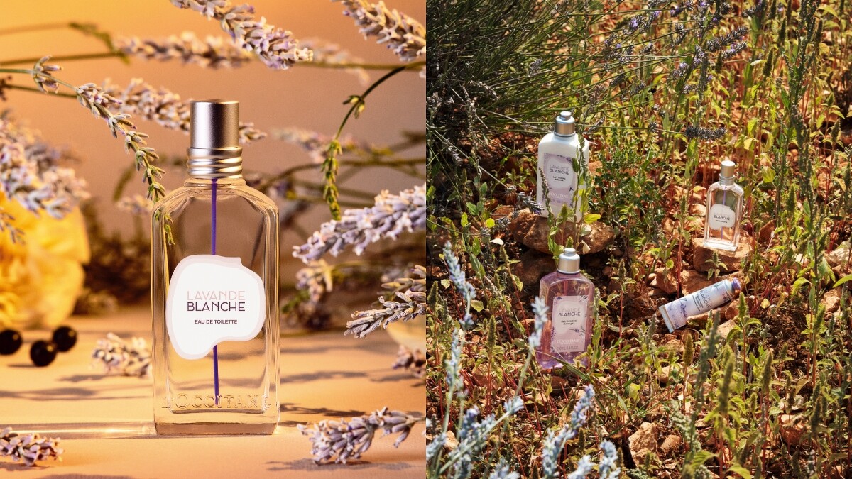 L'OCCITANE歐舒丹白薰衣草限量香氛系列情境圖。