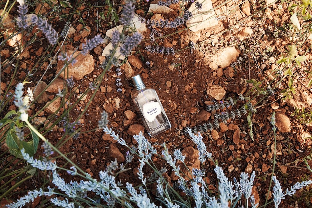 L'OCCITANE歐舒丹白薰衣草淡香水情境圖。