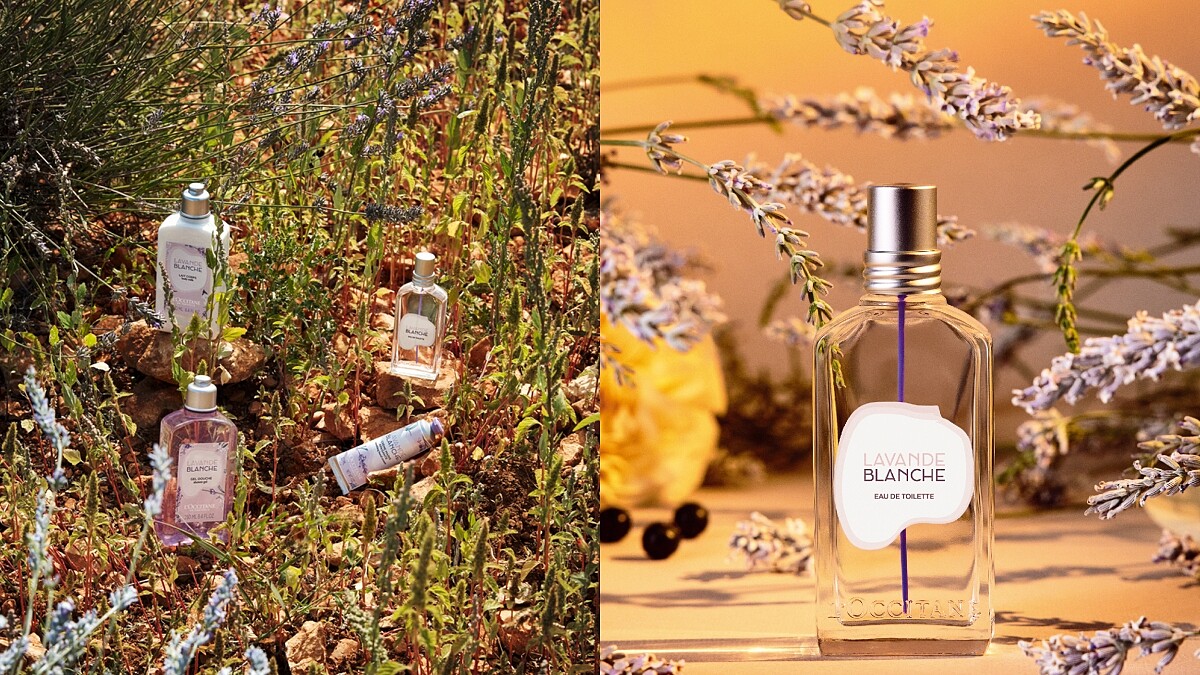 竟然有白色的薰衣草！歐舒丹推出白薰衣草香水，乾淨透明香氣令人著迷