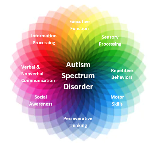 自閉症譜系(Autism spectrum)