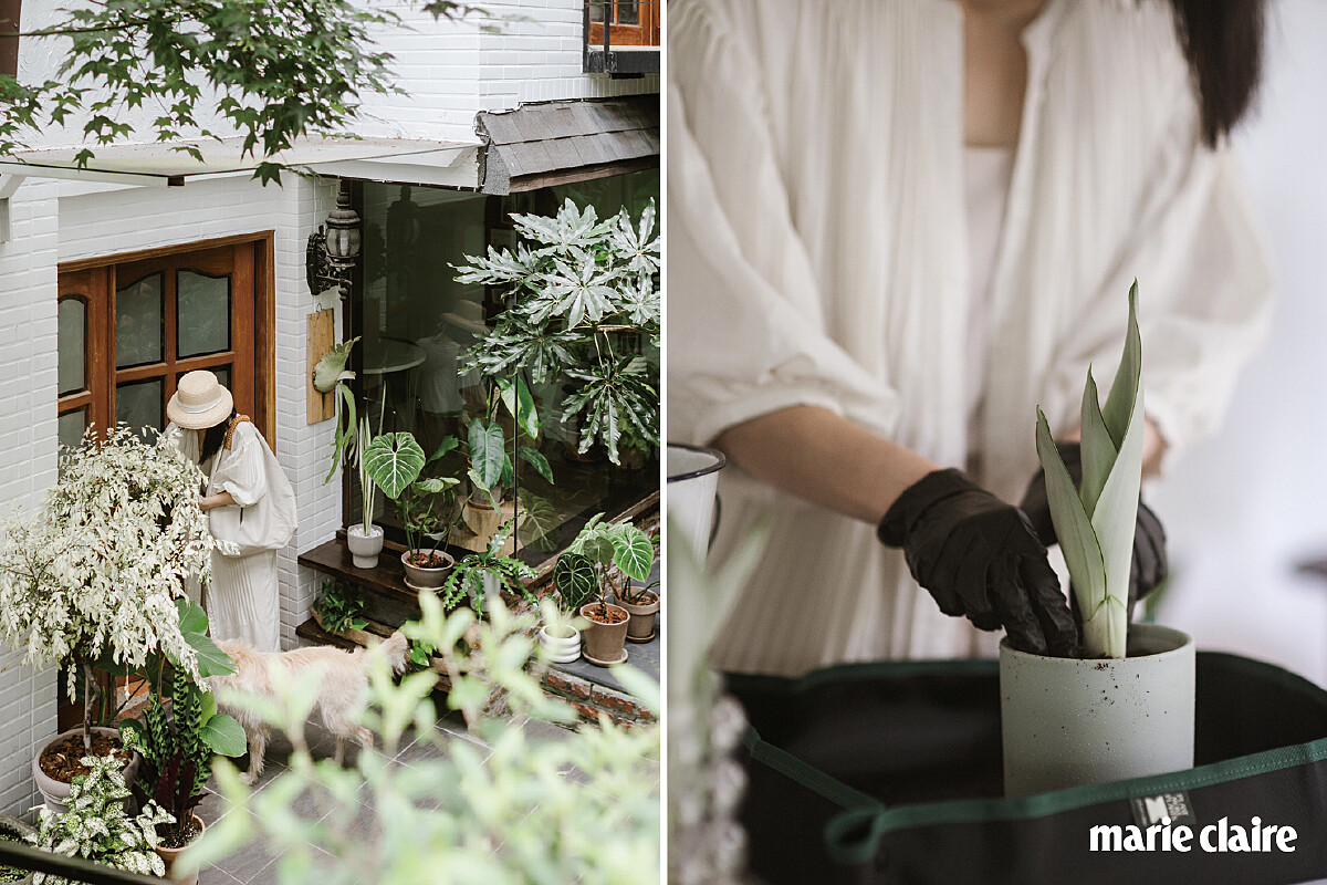 13:00pm 抵達工作室：每天都會找時間過去工作室關心植物的狀態，如果沒有早晚都照護到就無法放心。 14:00pm 換盆、施肥：換季的時候幾乎都會消失在網路上，因為實在太忙了，有太多事情要做了。