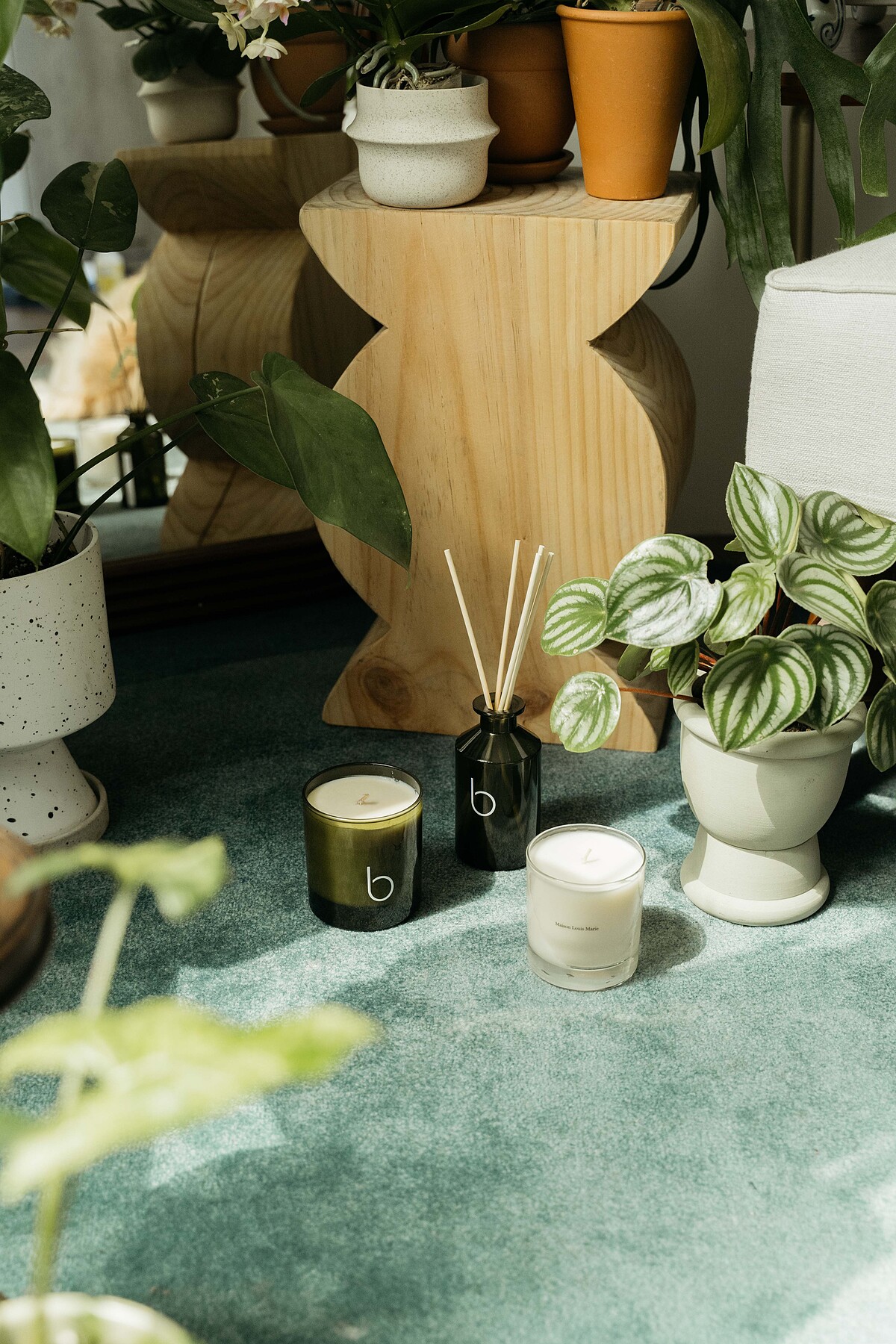 利用用椅凳／花檯將之抬高擺設，改變觀賞視角。