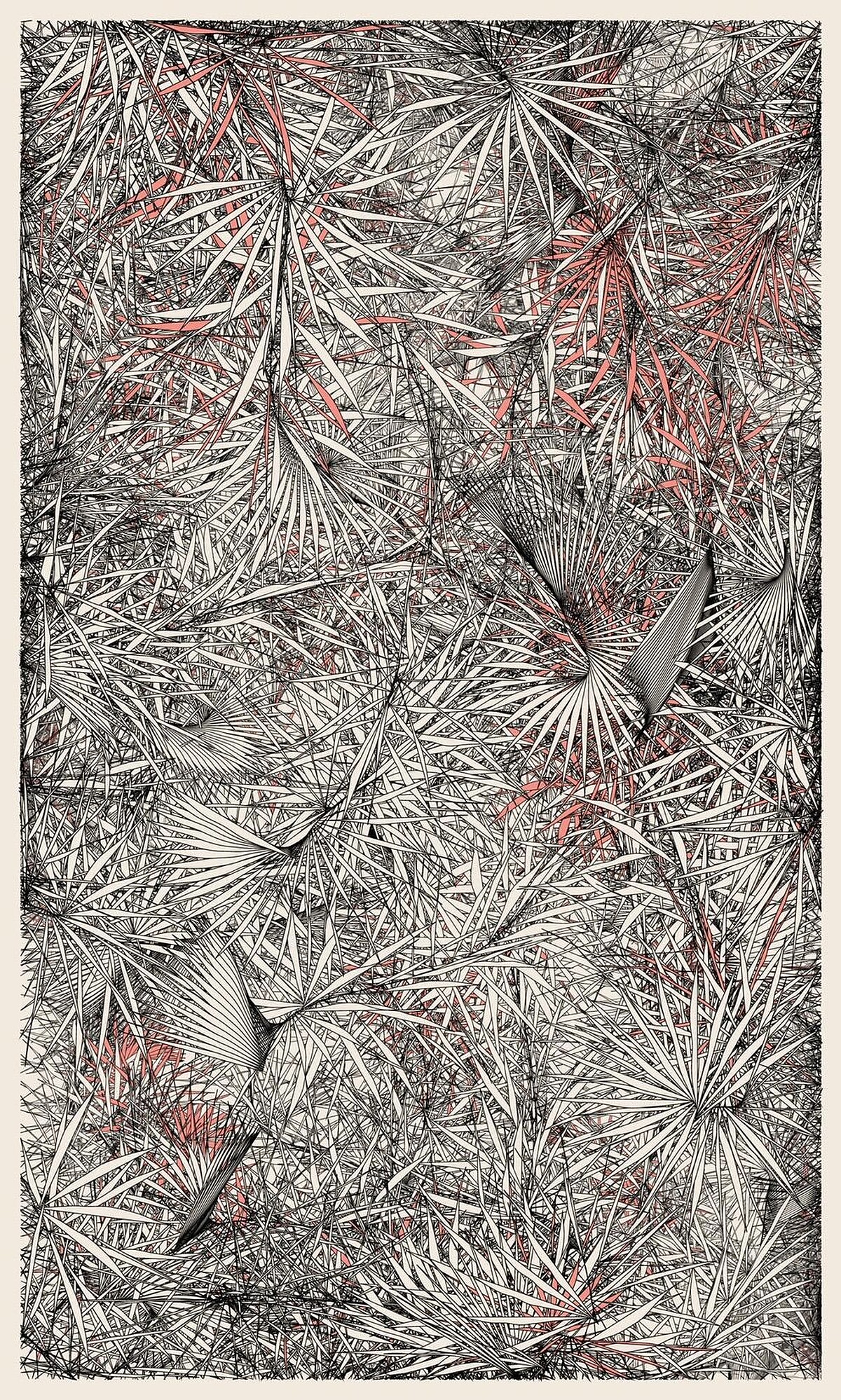 ▲▼圖 / 林經堯提供