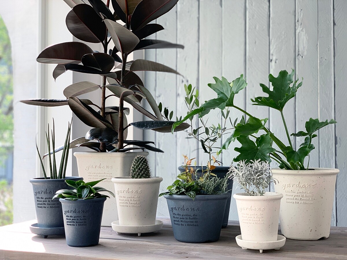 Hachiman Gardens 復古園藝環保盆款式相當多。