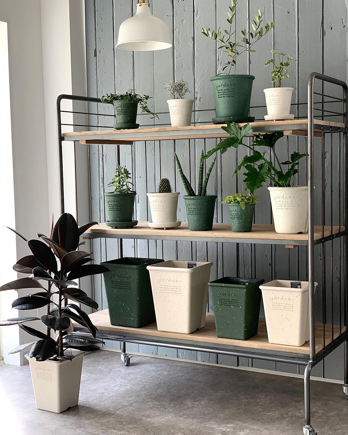 Hachiman Gardens 復古園藝環保盆款式相當多。