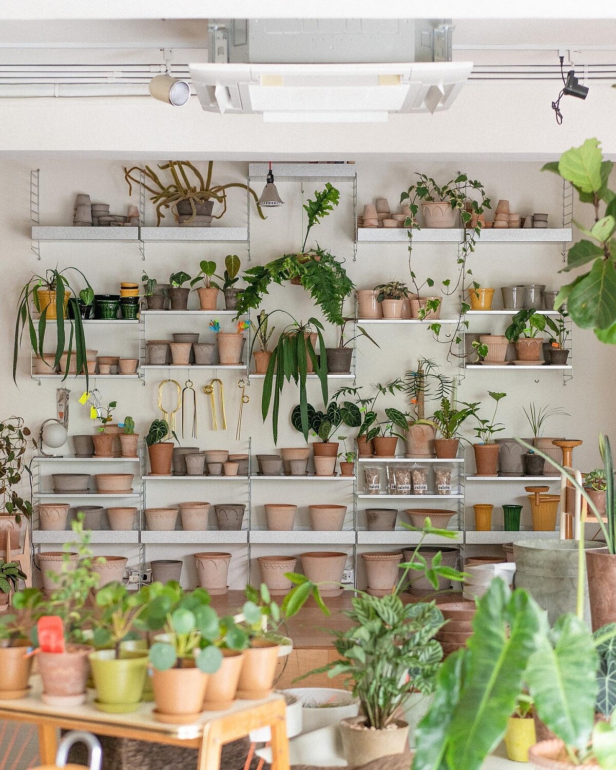 棚屋展示牆空間。