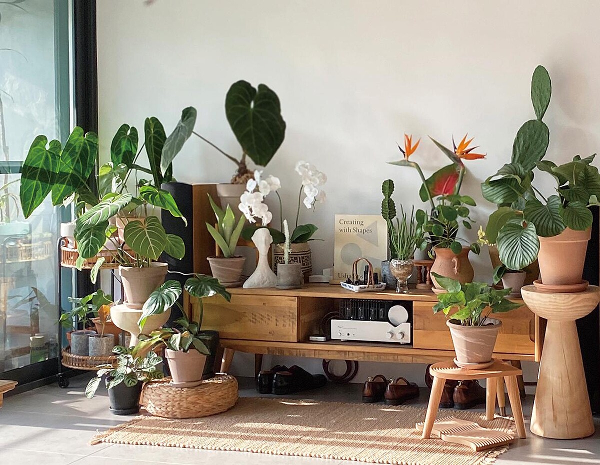 Yuty 家使用大量植栽佈置空間。