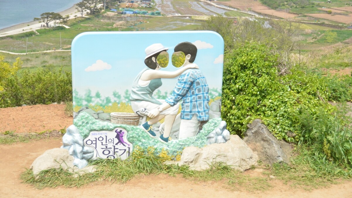 青山島《女人的香氣》取景地。
