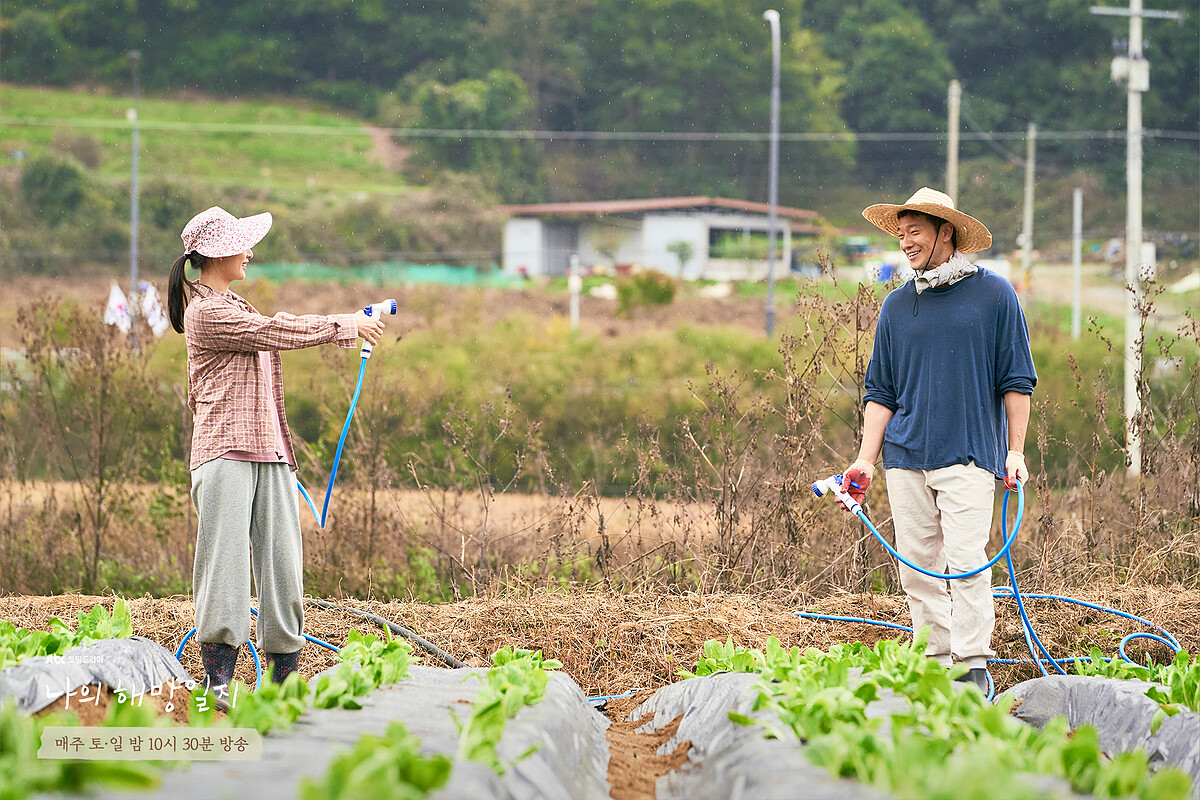 《我的出走日記》是許多人的人生劇