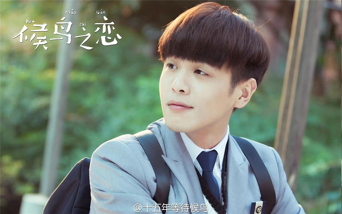 十五年等待候鳥