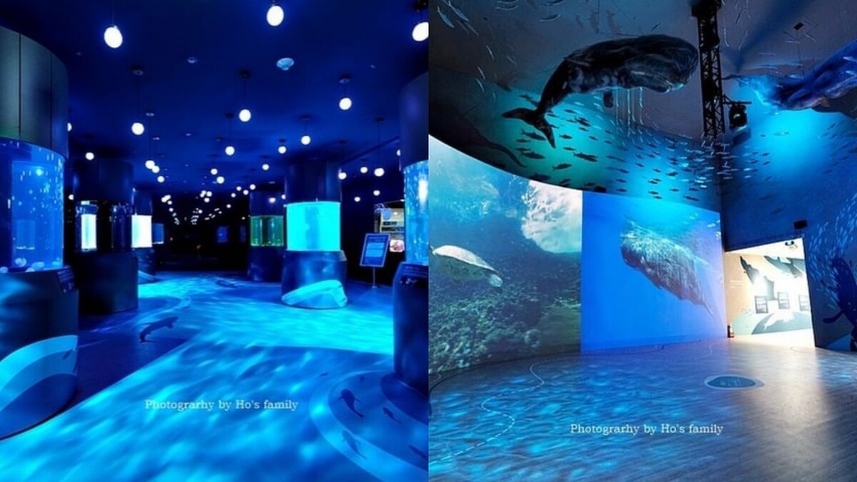 Photo／IG @ ivyoyo822 授權提供