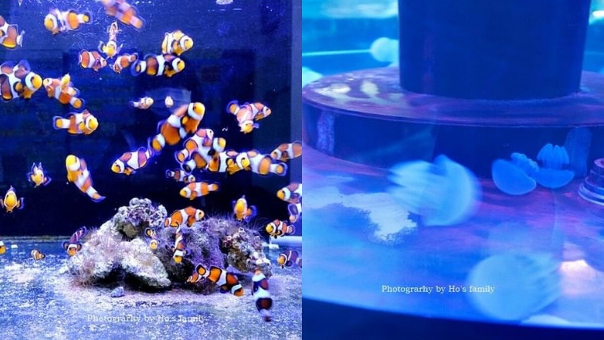 Photo／IG @ ivyoyo822 授權提供