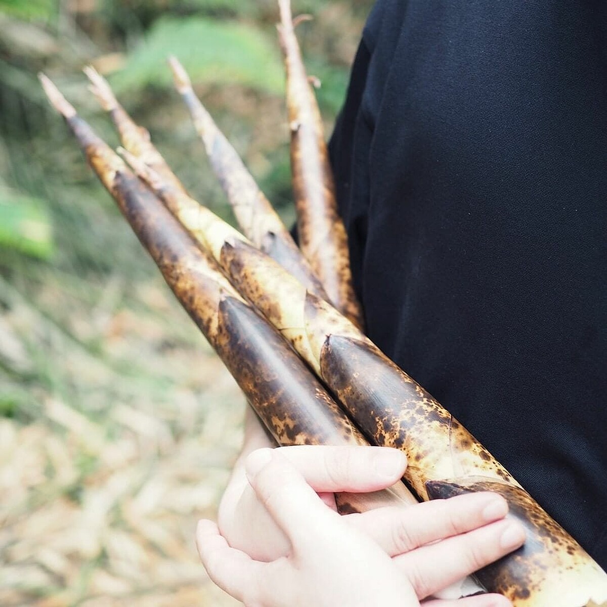 圖／IG@23.5nofficial