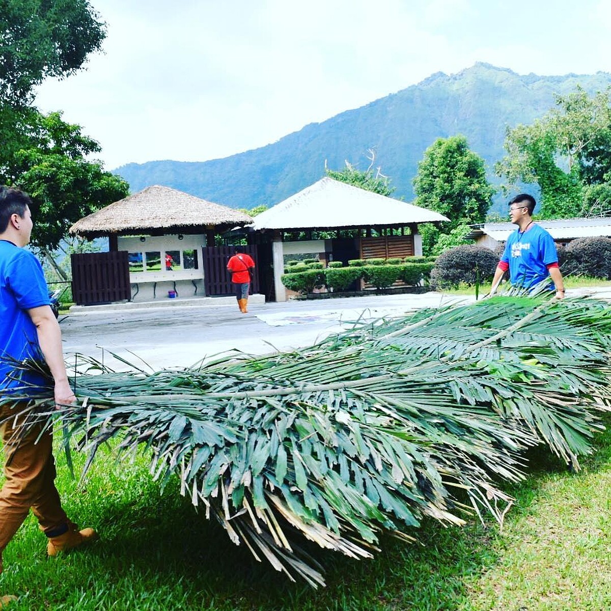 圖／IG@frogdefender